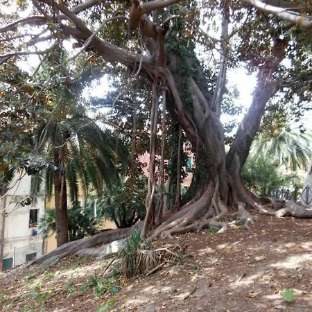 La Casa Sui Tetti, Nella Citta Vecchia Di Daire Sanremo