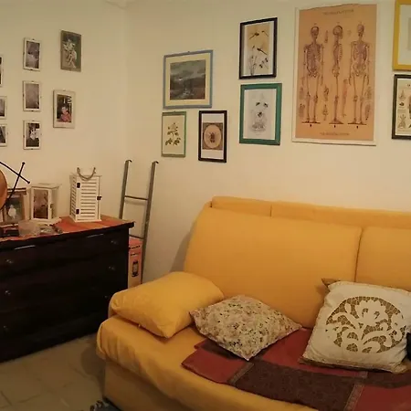 La Casa Sui Tetti, Nella Citta Vecchia Di Daire Sanremo
